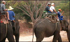 Wora Bura Resort & Spa, Hua Hin - Elephant Riding