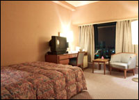 New Sky Hotel Kumamoto - Single Room