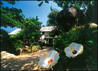 Baan Hin Sai Resort, Koh Samui - Chalet