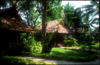 Chaweng Blue Lagoon - Village Villas