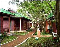 Sand Sea and Spa Resort