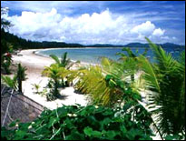 Bangtao Beach Relax
