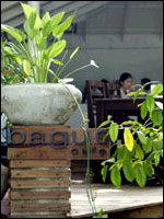 Lima Coco Resort, Samed Island - Bogus Cafe