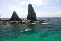 Snorkel Trip