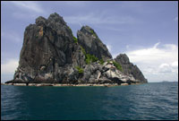 Snorkel Trip
